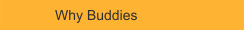 Why Buddies